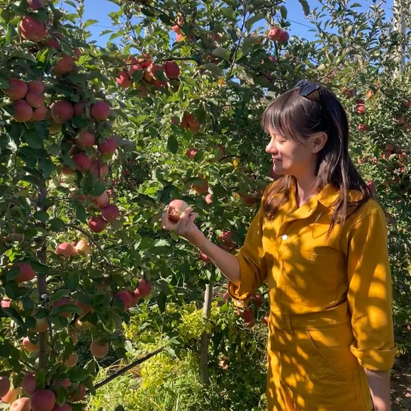 Meet your Posher, LB - Picture 1 of 1